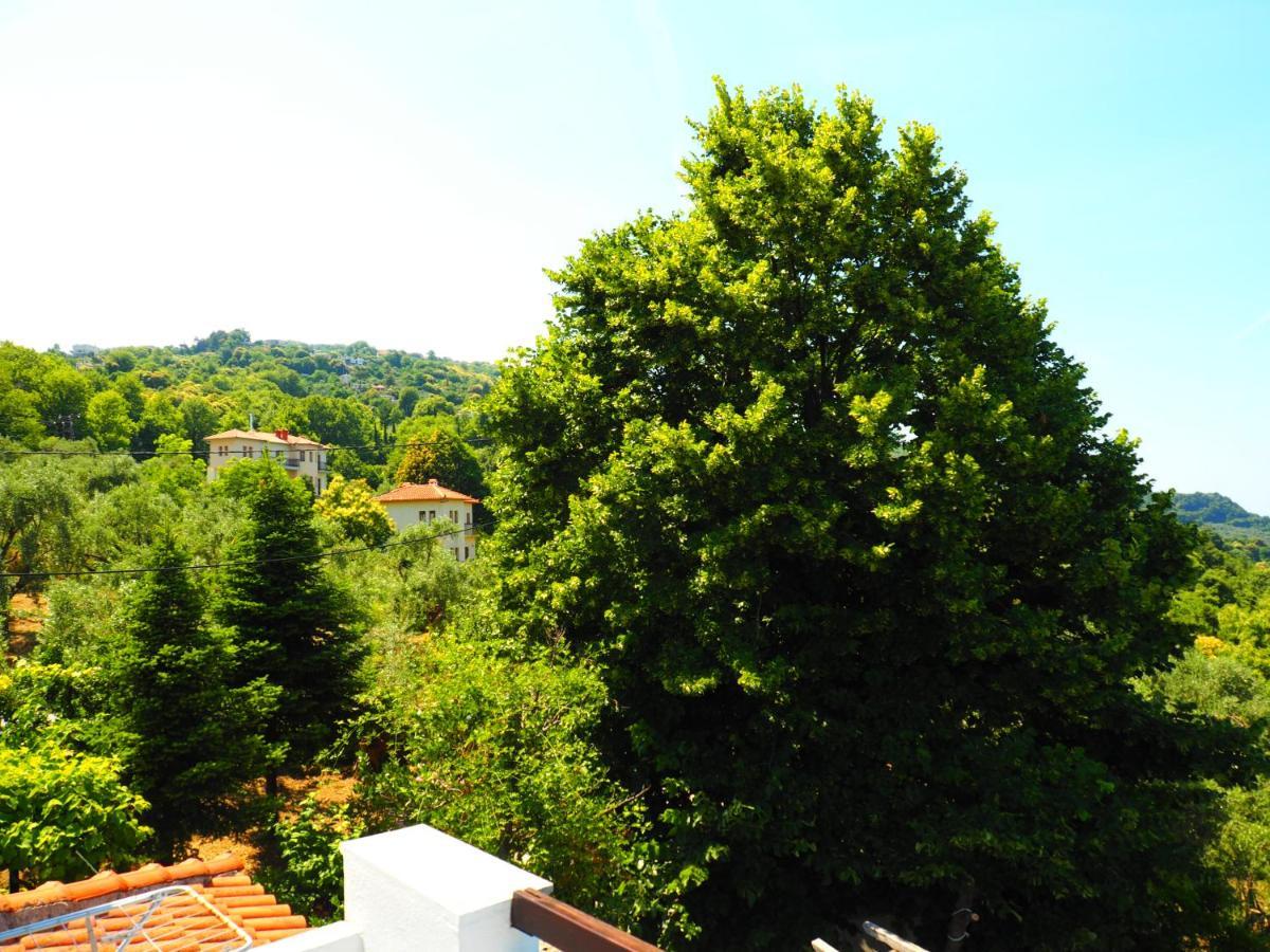 Felitsia Apartments & Studios Agios Ioannis  エクステリア 写真