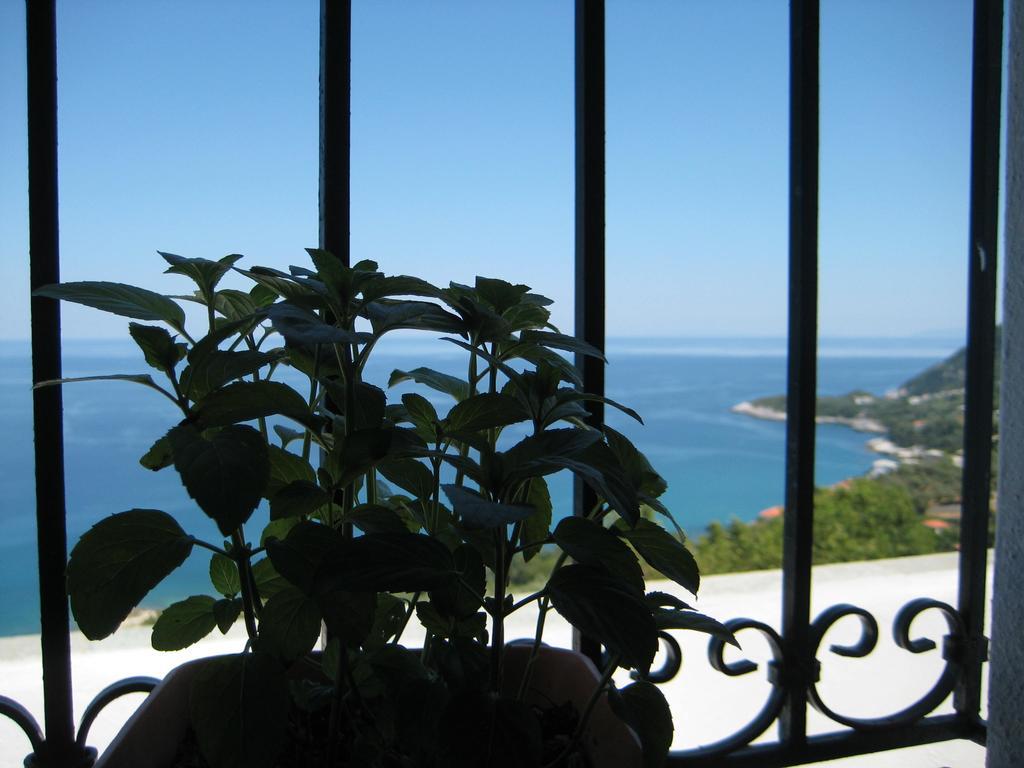 Felitsia Apartments & Studios Agios Ioannis  エクステリア 写真